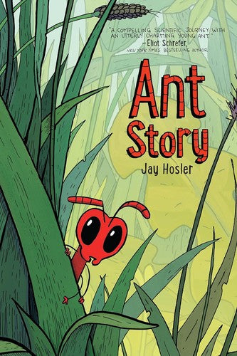 Ant Story