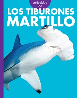 Curiosidad por los tiburones martillo