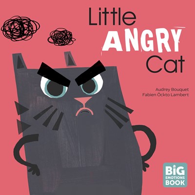 Little Angry Cat