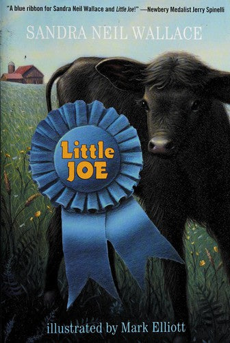 Little Joe