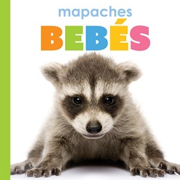 Mapaches bebes
