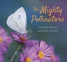 Mighty Pollinators