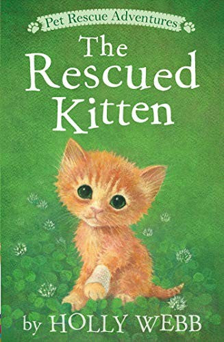 Rescued Kitten