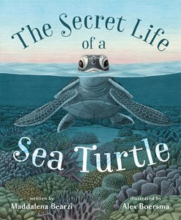 Secret Life of a Sea Turtle