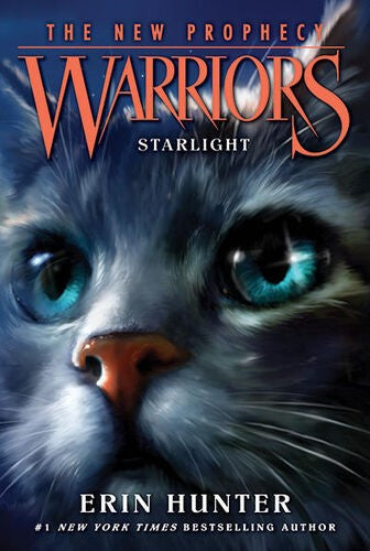 Warriors: The New Prophecy #6: Sunset