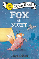Fox at Night