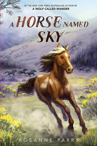 Horse Named Sky