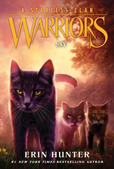 Warriors: A Starless Clan #2: Sky